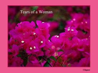 Cliquez Tears of a Woman 