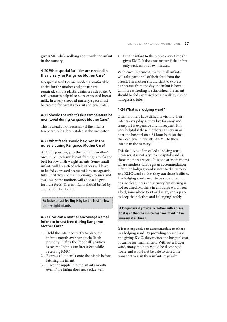 The plumed serpent picture