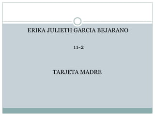  ERIKA JULIETH GARCIA BEJARANO  11-2 TARJETA MADRE 