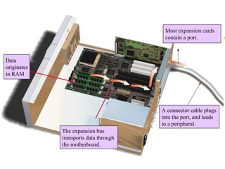 Most expansion cards
contain a port.

Data
originates
in RAM

A connector cable plugs
into the port, and leads
to a peripheral.
The expansion bus
transports data through
the motherboard.

 