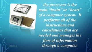 the processor is the
main “brain” or “heart”
of a computer system. It
performs all of the
instructions and
calculations that are
needed and manages the
flow of information
through a computer.ANGEL SOPHIE
 
