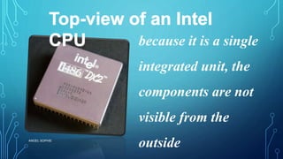 because it is a single
integrated unit, the
components are not
visible from the
outsideANGEL SOPHIE
 