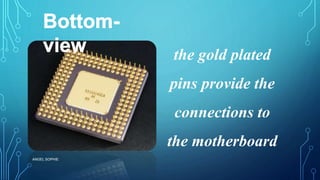 the gold plated
pins provide the
connections to
the motherboard
ANGEL SOPHIE
 