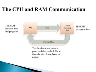 The CPU and RAM Communication
The CPU
processes data.
The RAM
contains data
and programs.
The data bus transports the
processed data to the RAM so
it can be stored, displayed, or
output.
 