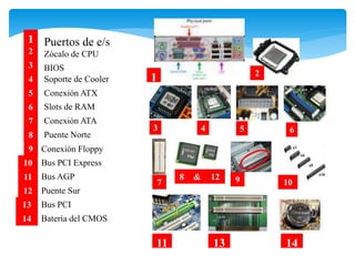 Slots de RAM
Puertos de e/s
Zócalo de CPU
BIOS
1
2
3
4
5 Conexión ATX
6
Soporte de Cooler
7 Conexión ATA
8 Puente Norte
9 Conexión Floppy
10 Bus PCI Express
11 Bus AGP
12 Puente Sur
13 Bus PCI
14 Batería del CMOS
2
1
3 4 5 6
7
8 12
& 9 10
11 13 14
 