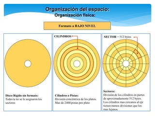 Organización del espacio:
Organización física:
Formato a BAJO NIVEL
CILINDROS
Disco Rígido sin formato:
Todavía no se le asignaron los
sectores
Cilindros o Pistas:
División concéntrica de los platos.
Mas de 2400 pistas por plato
Sectores:
División de los cilindros en partes
de aproximadamente 512 bytes.
Los cilindros mas cercanos al eje
tienen menos divisiones que los
mas lejanos.
SECTOR = 512 bytes
 