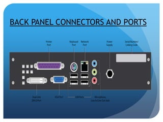 BACK PANEL CONNECTORS AND PORTS 
 