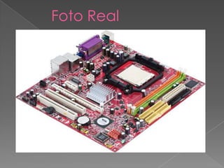 Foto Real
 