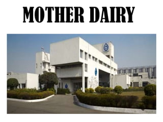 MOTHER DAIRY
 