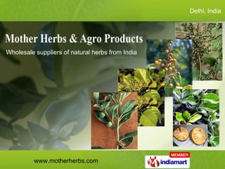 Delhi, India  Wholesale suppliers of natural herbs from India  