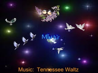 彩雲  錄製 Music:  Tennessee Waltz Mẫu tử 