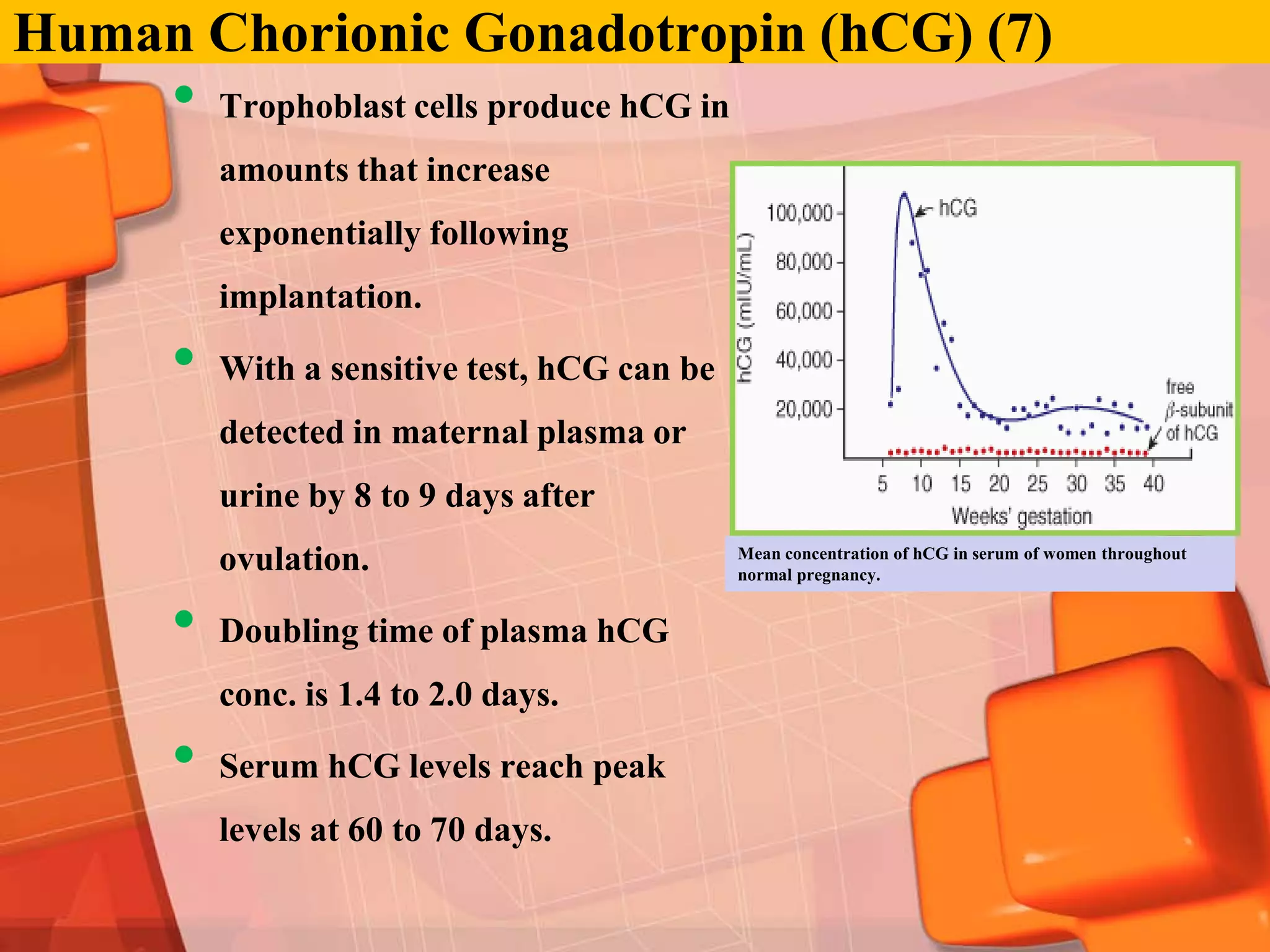 Human Chorionic Gonadotropin (hCG) (7)
     •   Trophoblast cells produce hCG in
         amounts that increase
         exponentially following
         implantation.

     •   With a sensitive test, hCG can be
         detected in maternal plasma or
         urine by 8 to 9 days after
         ovulation.                          Mean concentration of hCG in serum of women throughout
                                             normal pregnancy.


     •   Doubling time of plasma hCG
         conc. is 1.4 to 2.0 days.

     •   Serum hCG levels reach peak
         levels at 60 to 70 days.
 
