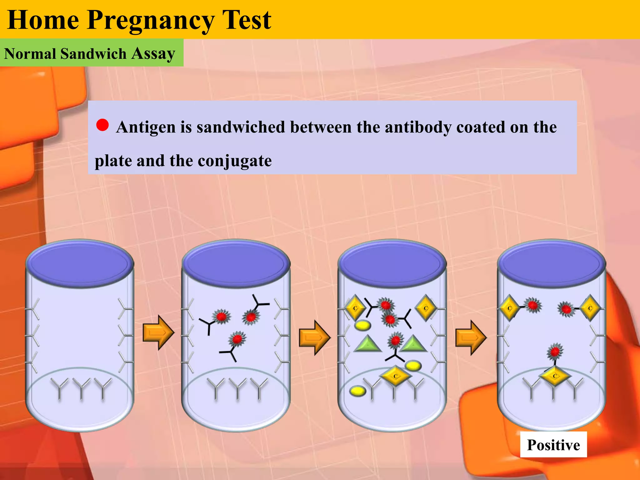 Home Pregnancy Test
Normal Sandwich Assay



            Antigen is sandwiched between the antibody coated on the
           plate and the conjugate




                                           C        C         C              C




                                                C                    C




                                                                  Positive
 