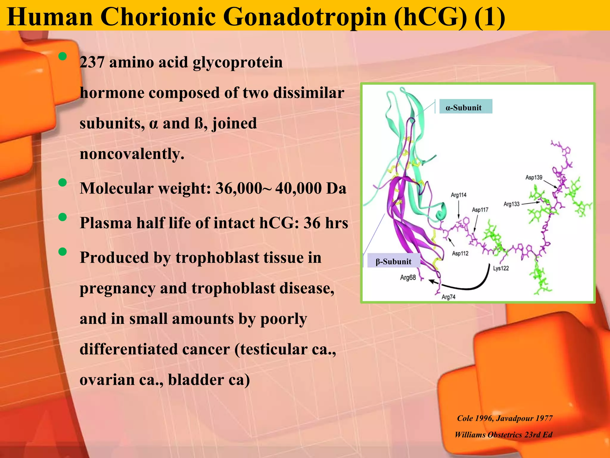 Human Chorionic Gonadotropin (hCG) (1)
   •   237 amino acid glycoprotein
       hormone composed of two dissimilar
                                                            α-Subunit

       subunits, α and ß, joined
       noncovalently.

   •   Molecular weight: 36,000~ 40,000 Da

   •   Plasma half life of intact hCG: 36 hrs

   •   Produced by trophoblast tissue in        β-Subunit


       pregnancy and trophoblast disease,
       and in small amounts by poorly
       differentiated cancer (testicular ca.,
       ovarian ca., bladder ca)

                                                              Cole 1996, Javadpour 1977
                                                              Williams Obstetrics 23rd Ed
 
