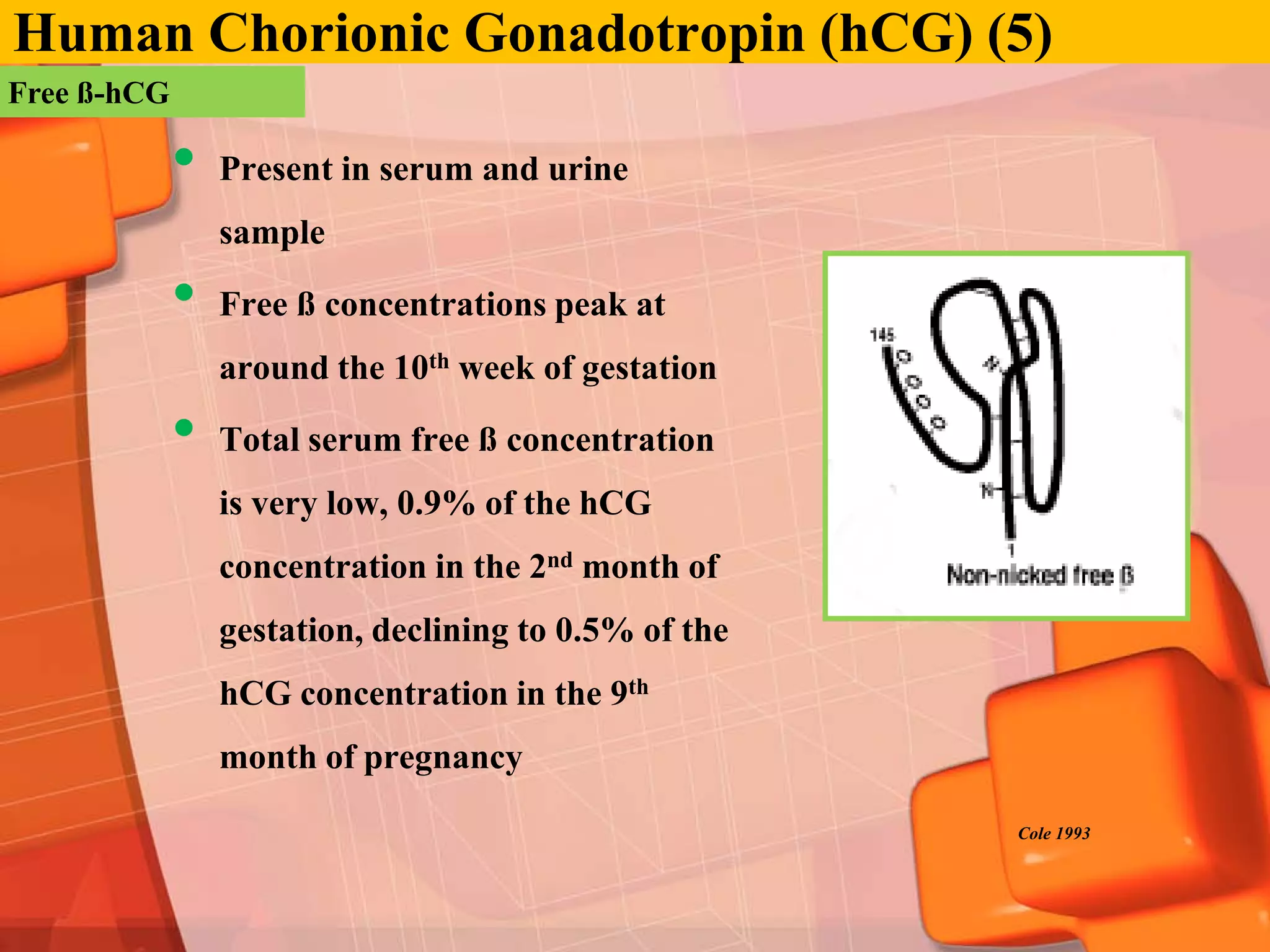 Human Chorionic Gonadotropin (hCG) (5)
Free ß-hCG

             •   Present in serum and urine
                 sample

             •   Free ß concentrations peak at
                 around the 10th week of gestation

             •   Total serum free ß concentration
                 is very low, 0.9% of the hCG
                 concentration in the 2nd month of
                 gestation, declining to 0.5% of the
                 hCG concentration in the 9th
                 month of pregnancy

                                                       Cole 1993
 