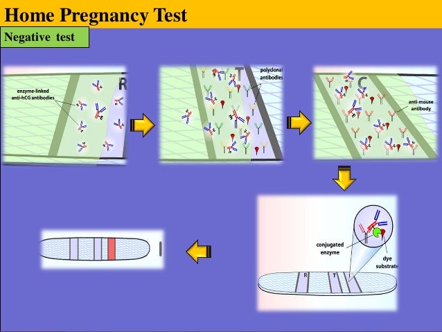 cvs pregnancy strip test Kit? What ìµœì¤€ì‹êµìˆ˜ Home is Truth Pregnancy Test of