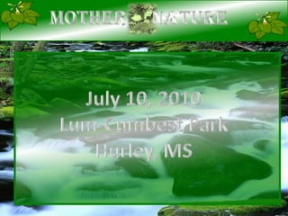 Mother     Nature July 10, 2010 Lum-Cumbest Park Hurley, MS 
