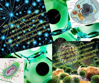 Las celulas procariontes no tienen
nucleo, por lo que el material
genetico se colaliza en el citoplasma,
en una zona llamada Nucleoide.
Las celulas eucarionte, son de
menor tamaño que las procariontes
y poseen una estructura
menbranosa llamadas organelos
llevan a cabo funciones especificas,
esto favorese la especializacion
celular .