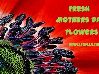 Fresh
Flowers
Mothers Da
http://bit.ly/11t
 