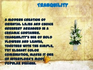 Tranquility

A modern creation of
oriental lilies and choice
greenery arranged in a
ceramic container.
Tranquility's use of bold
flowers and leaves,
together with the simple,
yet elegant color
combination, makes it one
of Interflora's most
popular designs.
 