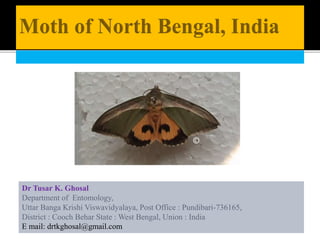 Dr Tusar K. Ghosal
Department of Entomology,
Uttar Banga Krishi Viswavidyalaya, Post Office : Pundibari-736165,
District : Cooch Behar State : West Bengal, Union : India
E mail: drtkghosal@gmail.com
©
 