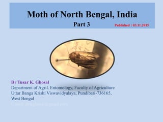 Moth of North Bengal, India
Part 3 Published : 03.11.2015
Dr Tusar K. Ghosal
Department of Agril. Entomology, Faculty of Agriculture
Uttar Banga Krishi Viswavidyalaya, Pundibari-736165,
West Bengal
E mail: drtkghosal@gmail.com
©
 