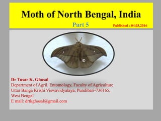 Moth of North Bengal, India
Part 5 Published : 04.03.2016
Dr Tusar K. Ghosal
Department of Agril. Entomology, Faculty of Agriculture
Uttar Banga Krishi Viswavidyalaya, Pundibari-736165,
West Bengal
E mail: drtkghosal@gmail.com
©
 