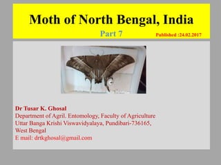 Moth of North Bengal, India
Part 7 Published :24.02.2017
Dr Tusar K. Ghosal
Department of Agril. Entomology, Faculty of Agriculture
Uttar Banga Krishi Viswavidyalaya, Pundibari-736165,
West Bengal
E mail: drtkghosal@gmail.com
©
 