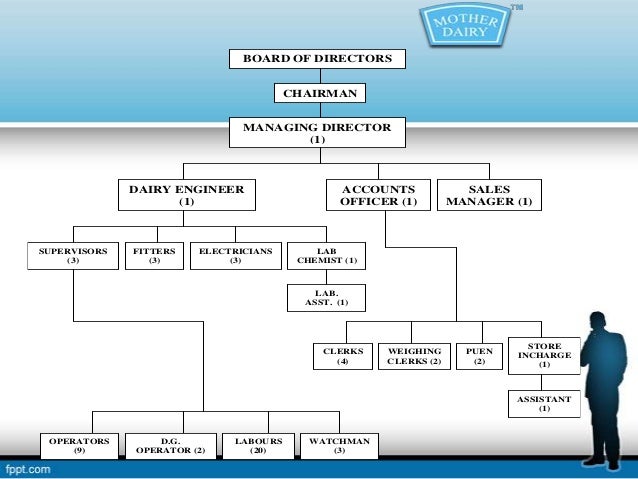 management-function-on-mother-dairy