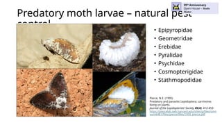 Predatory Moth Moths Matter (and so does the Rest of Life on Earth) | PPTX