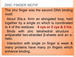 Zind Loop Finger Motif | PPTX
