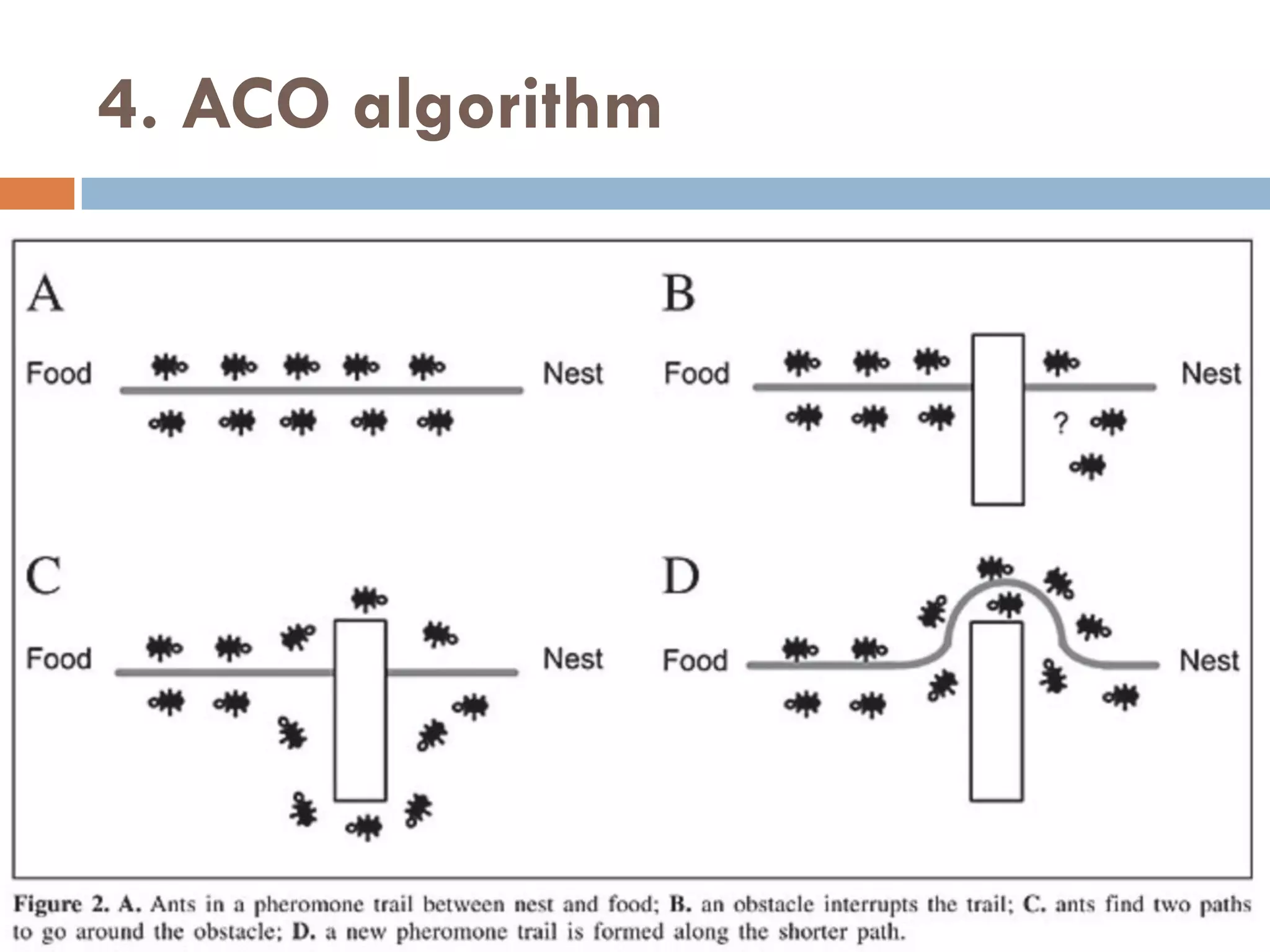 4. ACO algorithm
 
