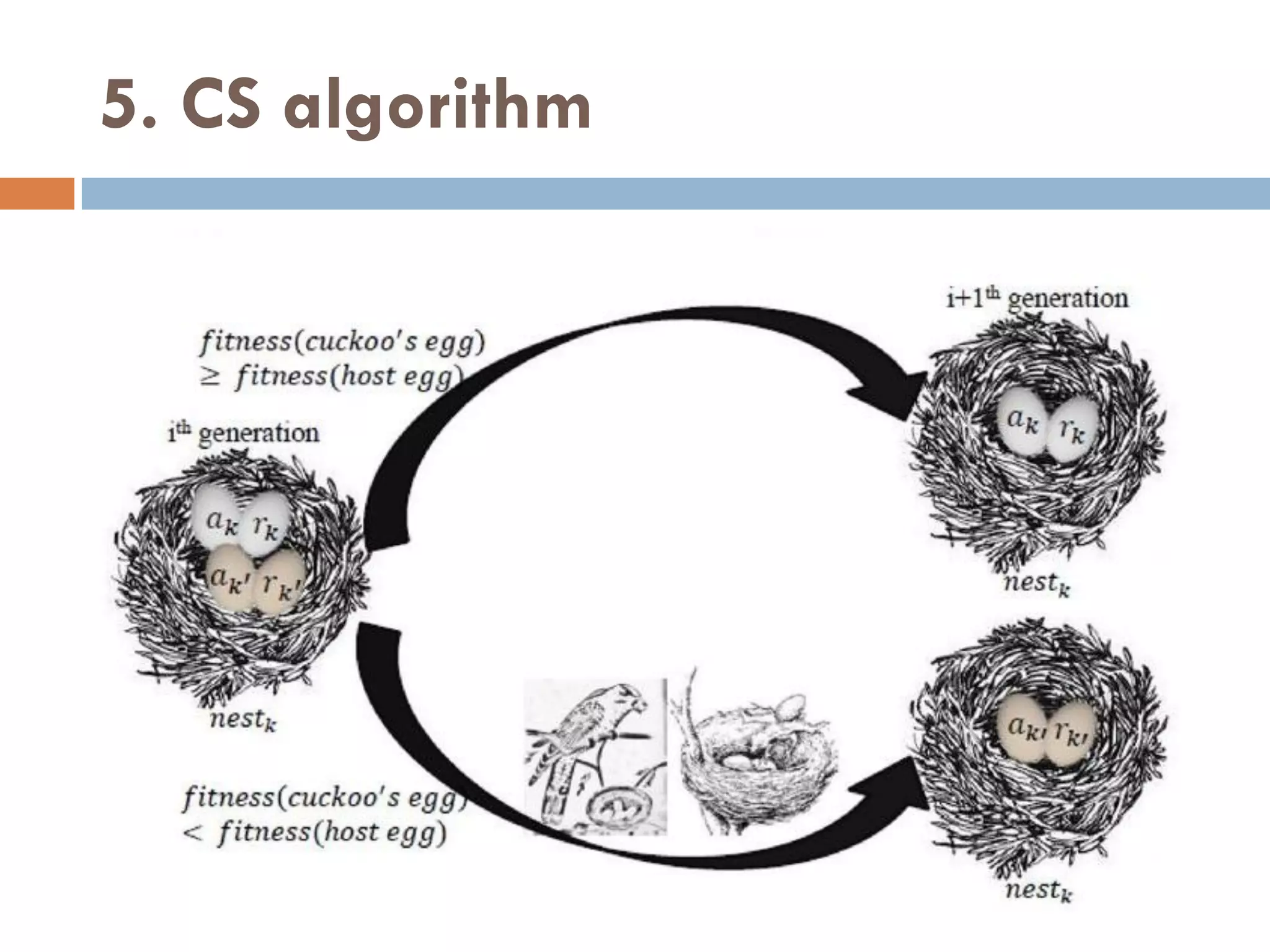 5. CS algorithm
 
