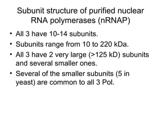 Subunit structure of purified nuclear
RNA polymerases (nRNAP)
• All 3 have 10-14 subunits.
• Subunits range from 10 to 220 kDa.
• All 3 have 2 very large (>125 kD) subunits
and several smaller ones.
• Several of the smaller subunits (5 in
yeast) are common to all 3 Pol.
 