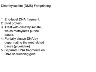 Dimethylsulfate (DMS) Footprinting
1. End-label DNA fragment.
2. Bind protein.
3. Treat with dimethylsulfate,
which methylates purine
bases.
4. Partially cleave DNA by
depurinating the methylated
bases (piperidine)
5. Separate DNA fragments on
DNA sequencing gels.
 