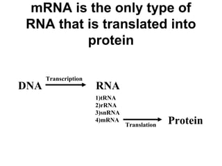 DNA RNA
Protein
Transcription
Translation
1)tRNA
2)rRNA
3)snRNA
4)mRNA
mRNA is the only type of
RNA that is translated into
protein
 