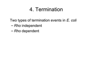 4. Termination
Two types of termination events in E. coli
– Rho independent
– Rho dependent
 