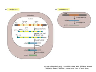 ©1998 by Alberts, Bray, Johnson, Lewis, Raff, Roberts, Walter.
Published by Garland Publishing, a member of the Taylor & Francis Group.
 