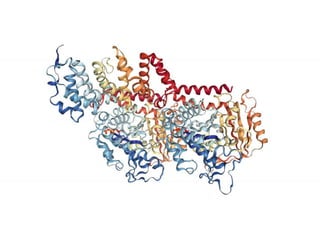 Motifs and domains | PPTX