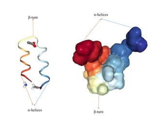 Motifs and domains | PPTX