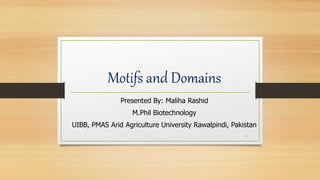 Motifs and Domains
Presented By: Maliha Rashid
M.Phil Biotechnology
UIBB, PMAS Arid Agriculture University Rawalpindi, Pakistan
1
 
