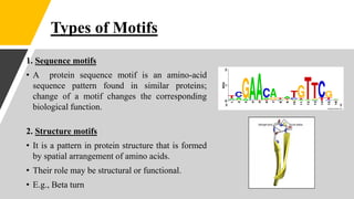 motifs and PPI databases.pptx
