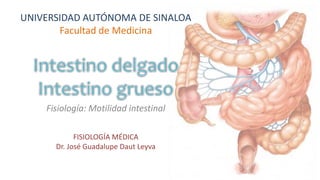 Fisiología: Motilidad intestinal
UNIVERSIDAD AUTÓNOMA DE SINALOA
Facultad de Medicina
FISIOLOGÍA MÉDICA
Dr. José Guadalupe Daut Leyva
 