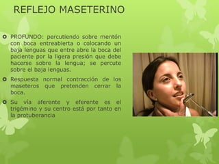 REFLEJO MASETERINO
 PROFUNDO: percutiendo sobre mentón
con boca entreabierta o colocando un
baja lenguas que entre abre la boca del
paciente por la ligera presión que debe
hacerse sobre la lengua; se percute
sobre el baja lenguas.
 Respuesta normal contracción de los
maseteros que pretenden cerrar la
boca.
 Su vía aferente y eferente es el
trigémino y su centro está por tanto en
la protuberancia
 