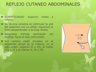 REFLEJO CUTANEO ABDOMINALES
 SUPERFICIALES: Superior, medio e
inferior.
 Su técnica consiste en estimular la piel
del abdomen con un alfiler, siguiendo la
línea perpendicular a la línea media.
 Respuesta normal, desviación del
ombligo hacia el lado estimulado
 Sus centros están situados en el
segmento dorsal de la médula, en el
sgte orden: superior VI y VII; el medio
VIII y IX y el inferior X, XI y XII
 