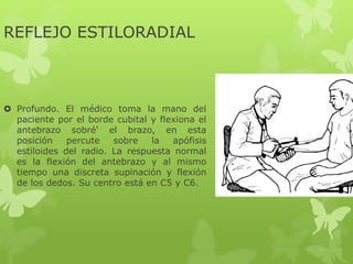 REFLEJO ESTILORADIAL
 Profundo. El médico toma la mano del
paciente por el borde cubital y flexiona el
antebrazo sobré' el brazo, en esta
posición percute sobre la apófisis
estiloides del radio. La respuesta normal
es la flexión del antebrazo y al mismo
tiempo una discreta supinación y flexión
de los dedos. Su centro está en C5 y C6.
 