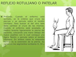 REFLEJO ROTULIANO O PATELAR
 Profundo. Cuando el enfermo está
sentado, se le ordena que cruce las
piernas y se percute sobre el tendón
rotuliano. Para buscar el del otro lado
debe cambiar el cruce de las mismas.
Cuando el enfermo está acostado, el
médico levanta ligeramente la pierna del
paciente, colocando una mano debajo del
hueco poplíteo con lo cual consigue una
ligera flexión y percute sobre el tendón
rotuliano. En ambos casos la respuesta
normal es la extensión de la pierna. Su
centro en los segmentos lumbares II, III y
IV
 