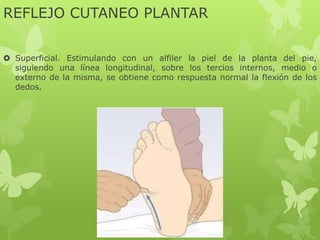 REFLEJO CUTANEO PLANTAR
 Superficial. Estimulando con un alfiler la piel de la planta del pie,
siguiendo una línea longitudinal, sobre los tercios internos, medio o
externo de la misma, se obtiene como respuesta normal la flexión de los
dedos.
 