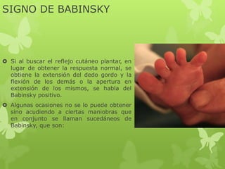 SIGNO DE BABINSKY
 Si al buscar el reflejo cutáneo plantar, en
lugar de obtener la respuesta normal, se
obtiene la extensión del dedo gordo y la
flexión de los demás o la apertura en
extensión de los mismos, se habla del
Babinsky positivo.
 Algunas ocasiones no se lo puede obtener
sino acudiendo a ciertas maniobras que
en conjunto se llaman sucedáneos de
Babinsky, que son:
 