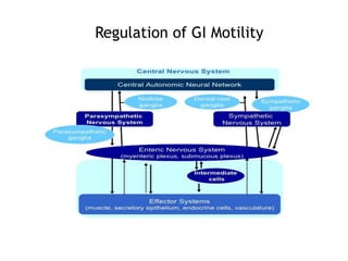 38
Regulation of GI Motility
 